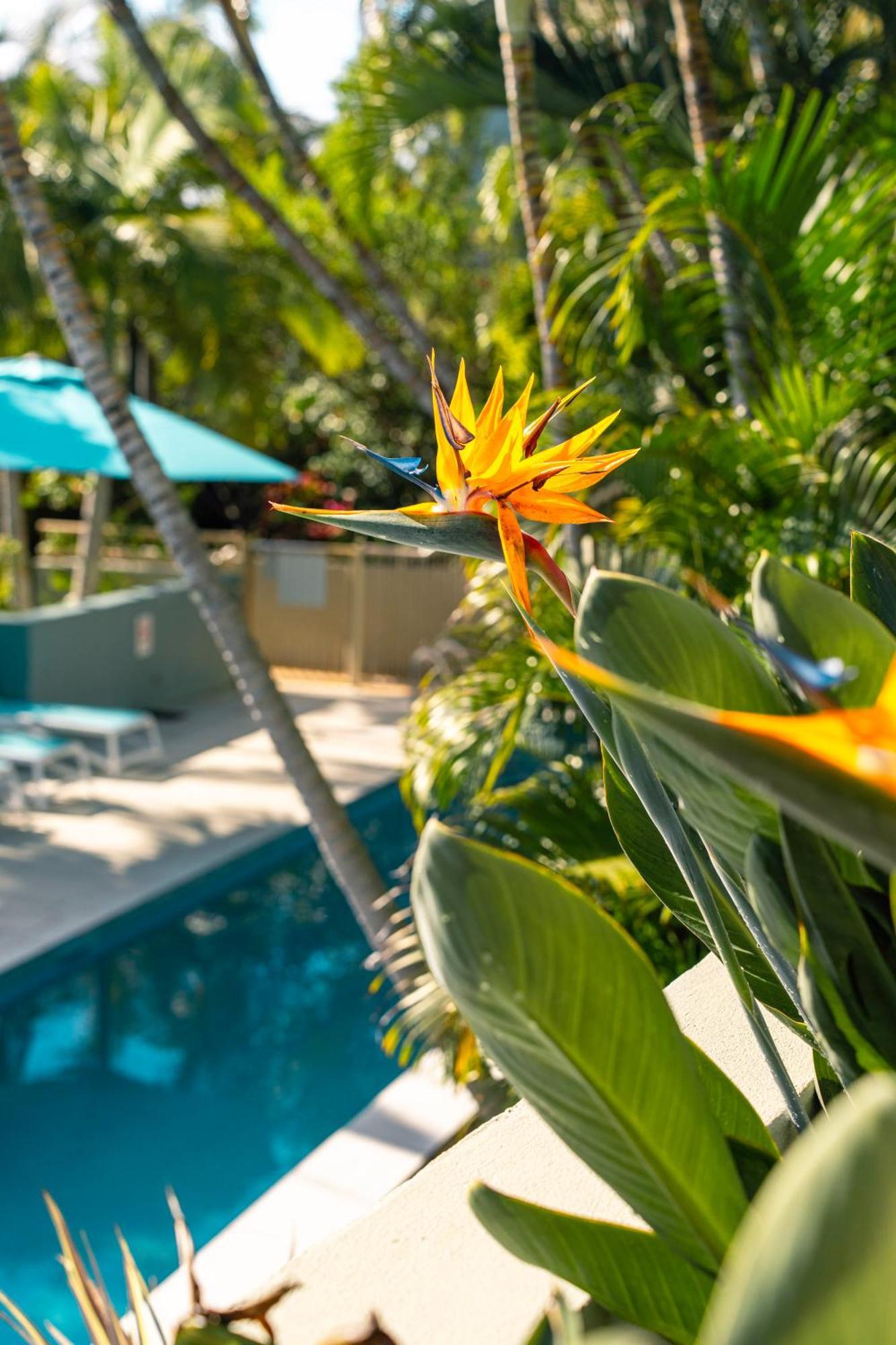 Lennox Beach Resort Ленокс Хед Екстериор снимка